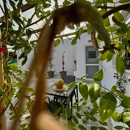 Relax Under The Mulberry Tree Apartment Istro Exterior photo