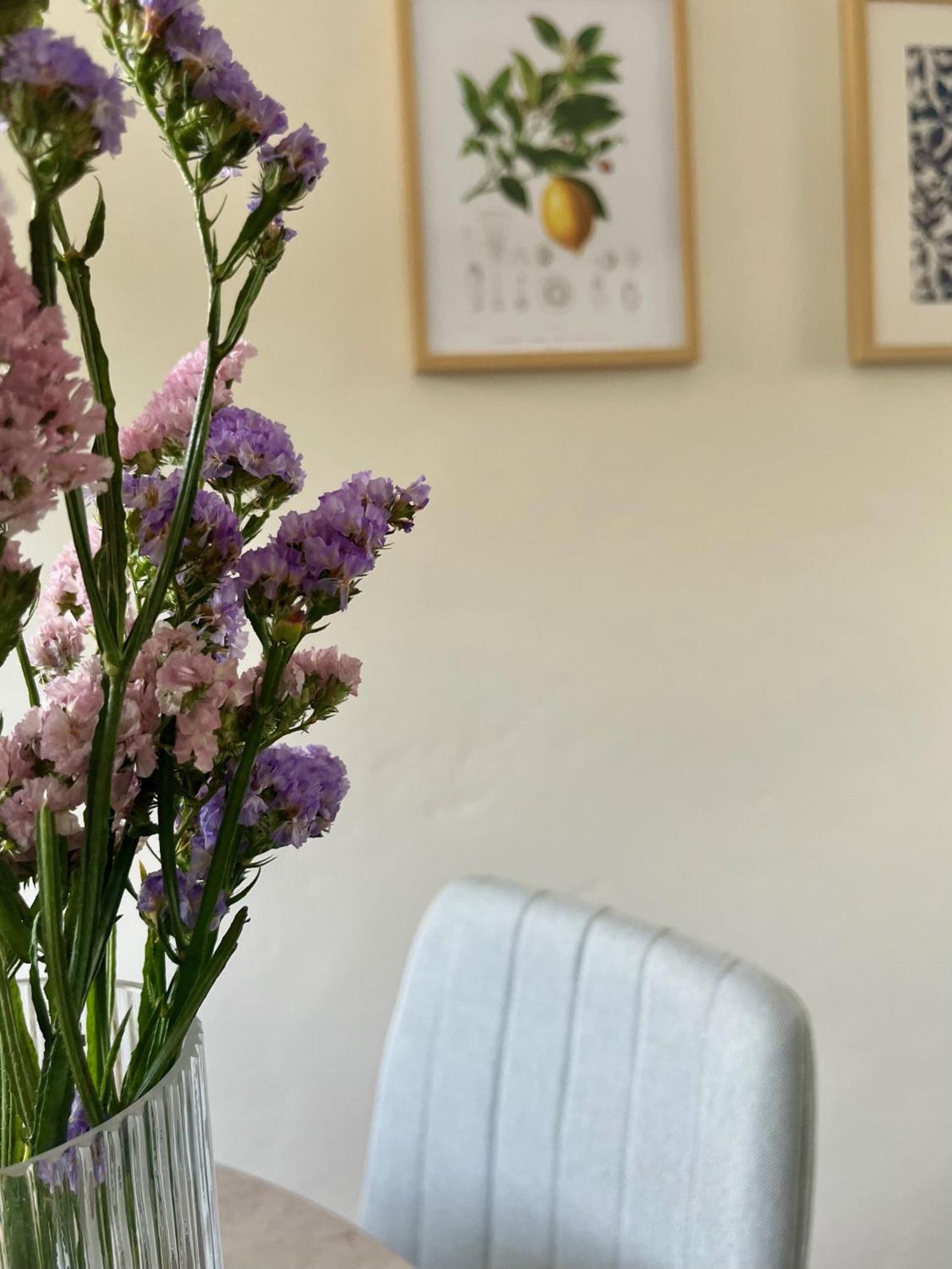 Relax Under The Mulberry Tree Apartment
