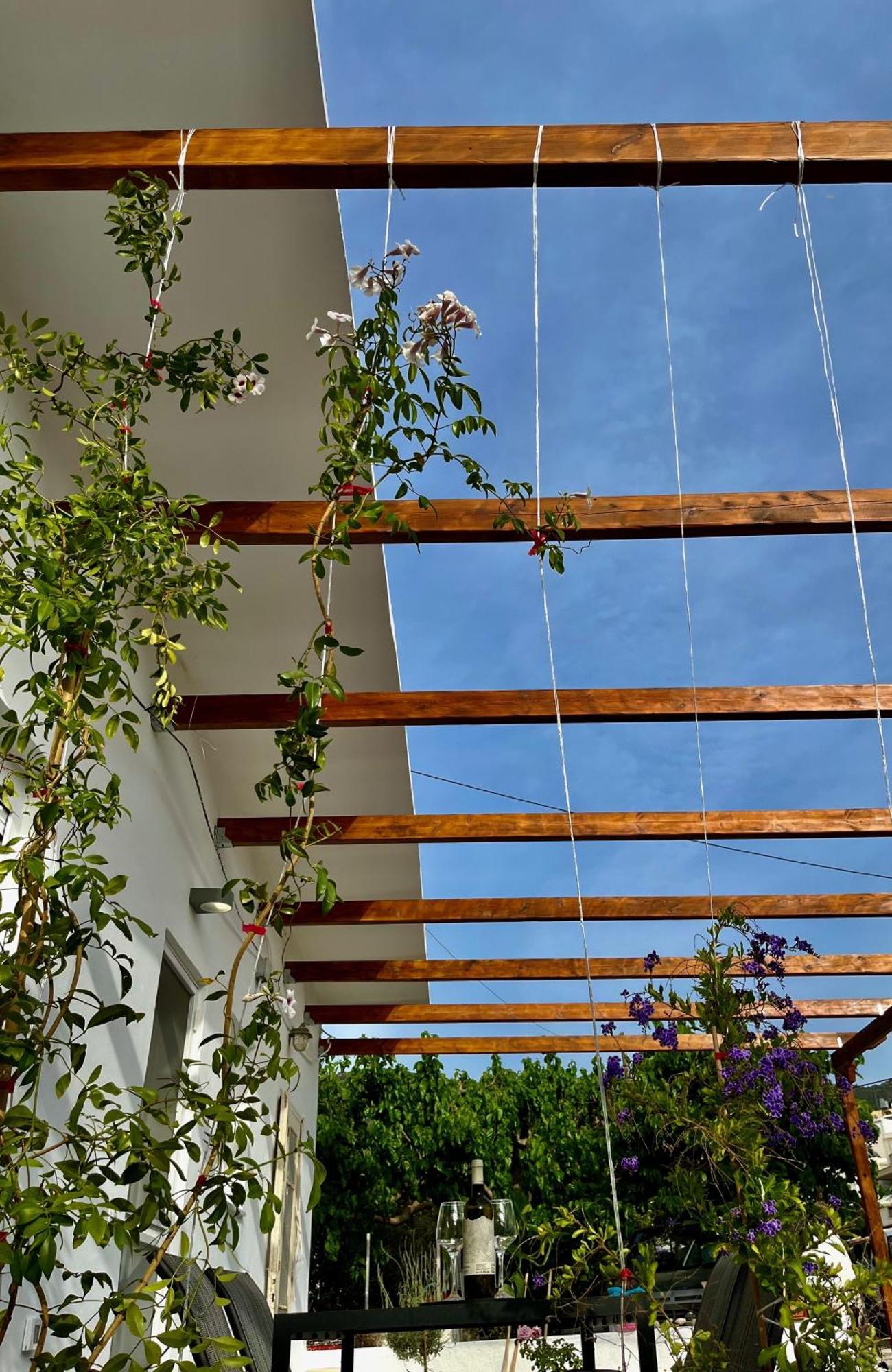 Relax Under The Mulberry Tree Istro