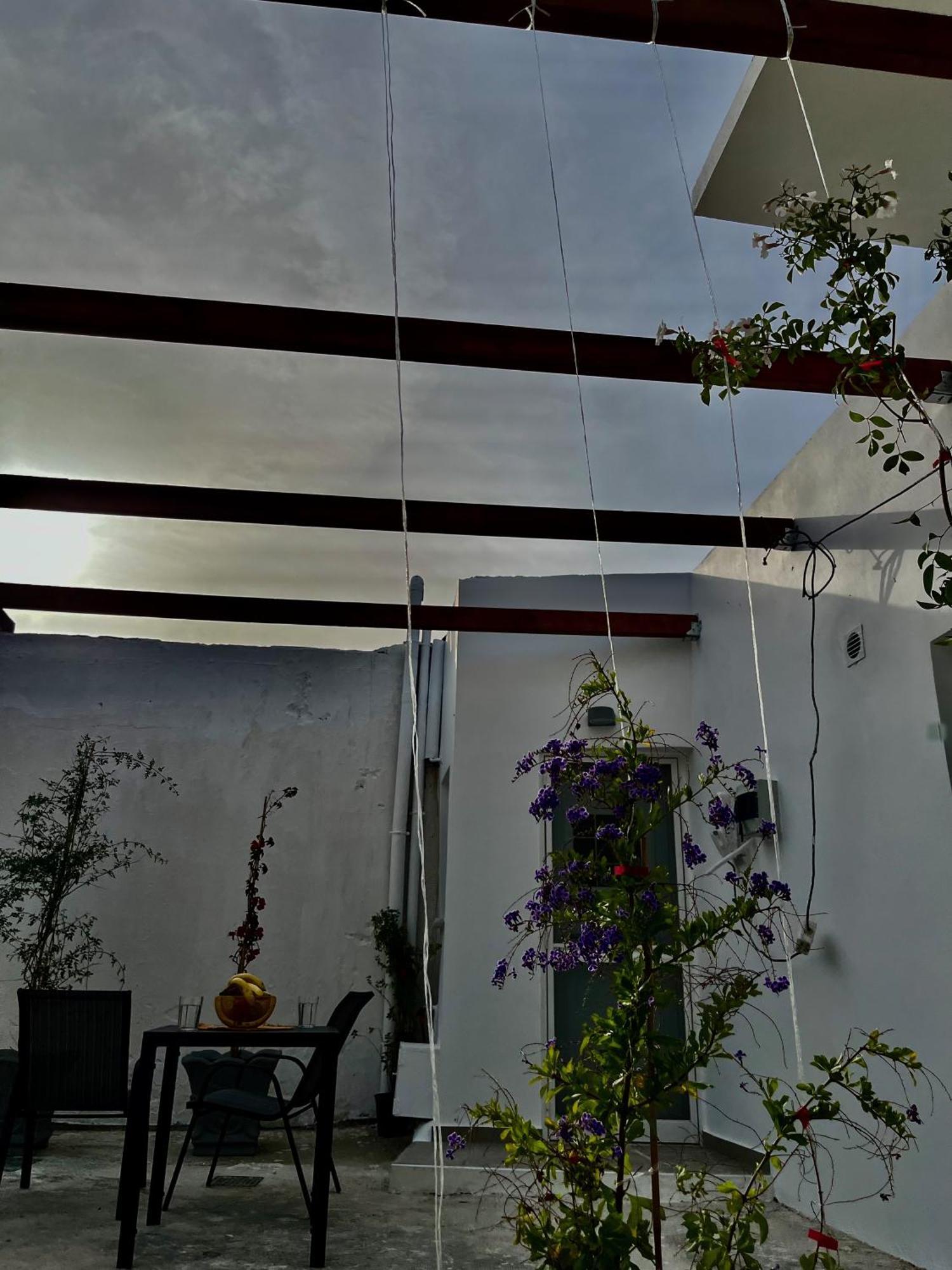 Relax Under The Mulberry Tree Apartment