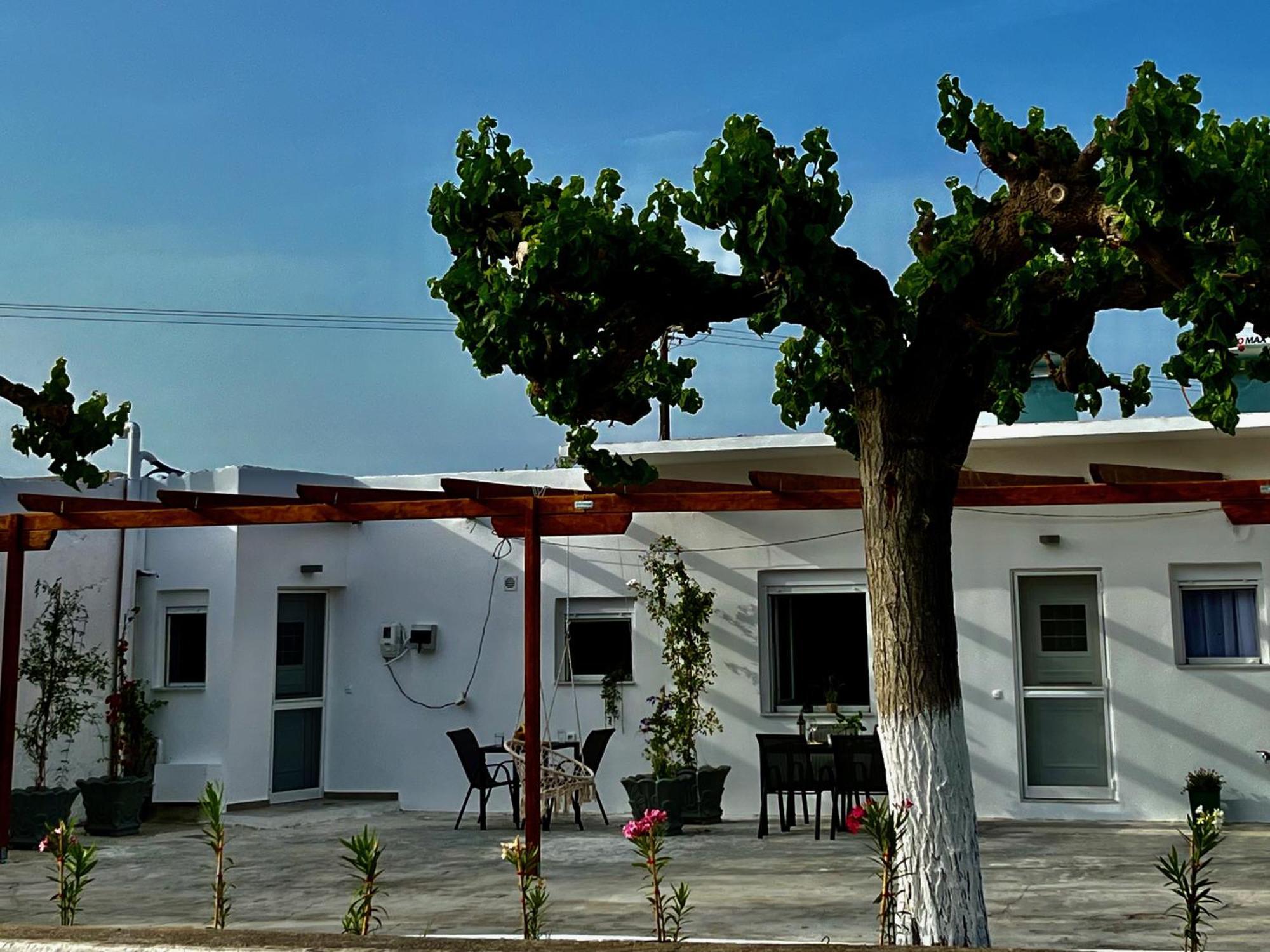 Relax Under The Mulberry Tree Apartment