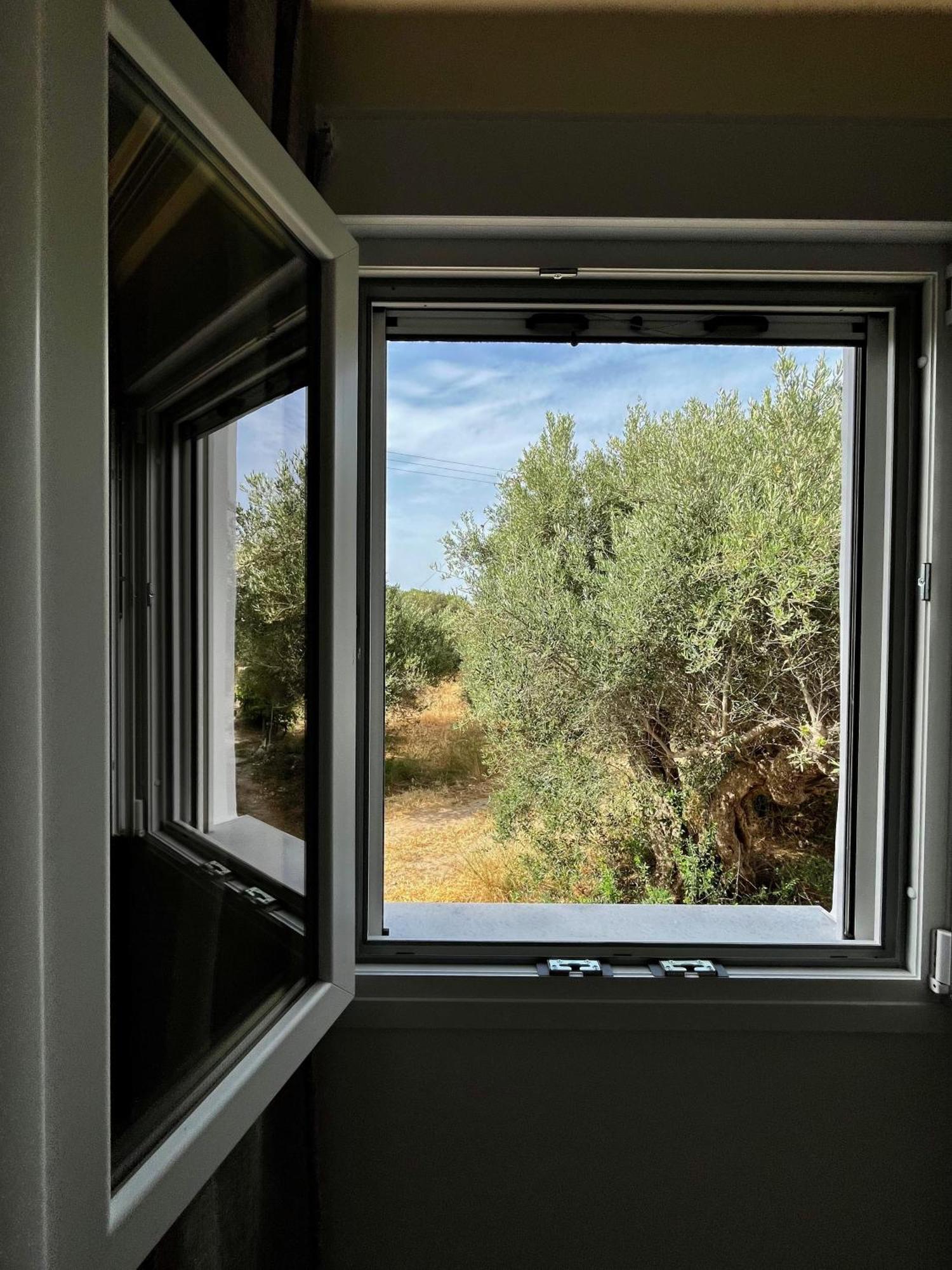 Relax Under The Mulberry Tree Apartment