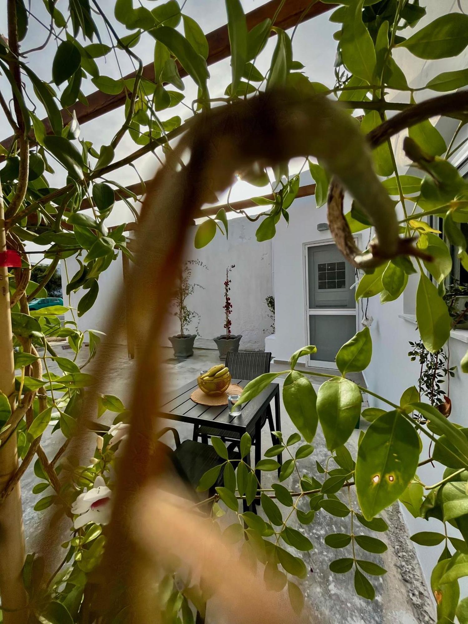 Apartment Relax Under The Mulberry Tree Istro