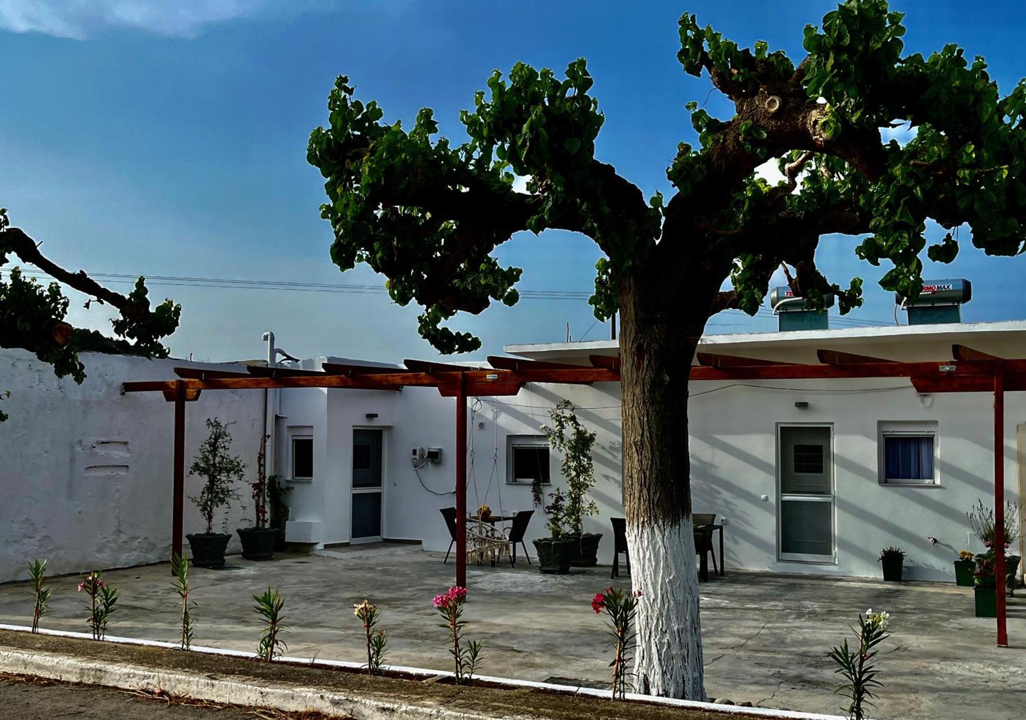 Relax Under The Mulberry Tree *