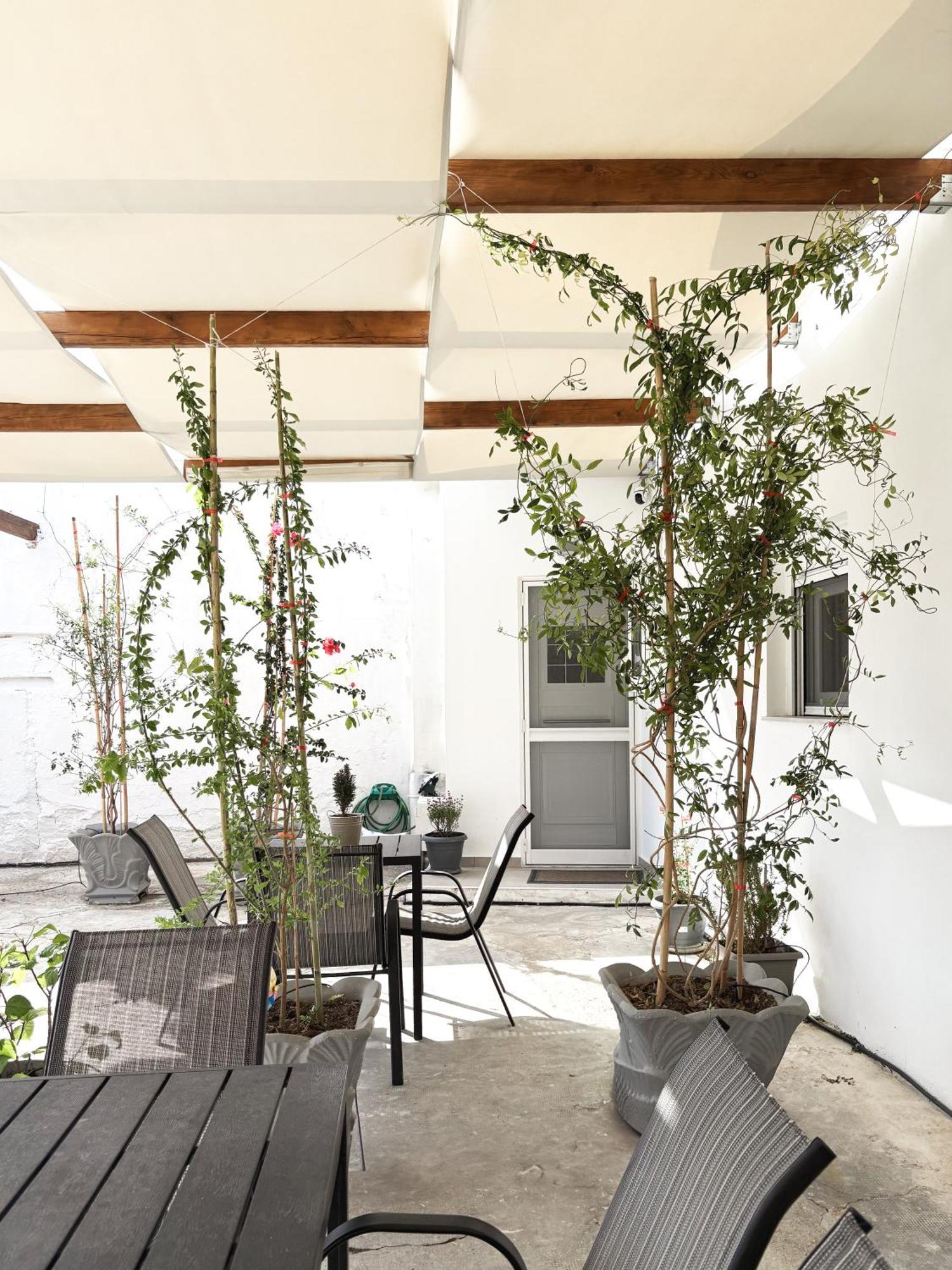 Relax Under The Mulberry Tree Apartment *